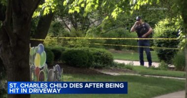 No charges against driver after boy, 5, killed by vehicle at St. Charles, Illinois home on Royal Fox Drive: police department