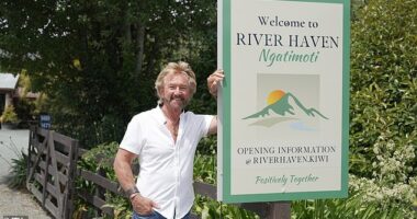 Noel Edmonds has opened up about Clarkson's Farm comparisons ahead of his return to TV with show documenting his family move to New Zealand