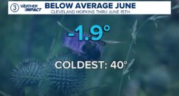 Northeast Ohio weather: June kicks off with below-average temperatures