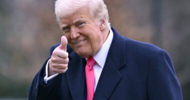Now There's This: Texas Trump Burger Triumphs Bigly