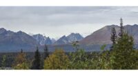 Now Will There Be Foot Traffic From Alaska to Canada?