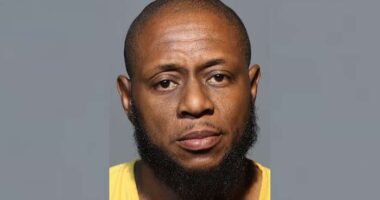Orlando stabbing suspect runs away after gun-wielding witness steps in, police say