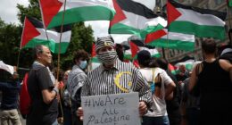 Outrage as pro-Palestine protester dresses as Holocaust victim at demo but is allowed to continue by police