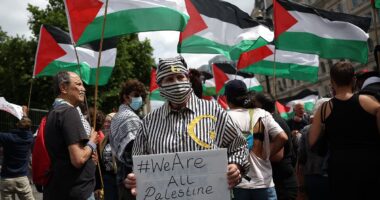 Outrage as pro-Palestine protester dresses as Holocaust victim at demo but is allowed to continue by police
