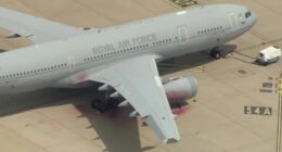 Palestine Action ‘to be BANNED’ like terror group after they broke into RAF Brize Norton & vandalised 2 planes