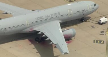 Palestine Action ‘to be BANNED’ like terror group after they broke into RAF Brize Norton & vandalised 2 planes
