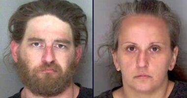 Parents forced 3-year-old boy to live alone in shed: Cops