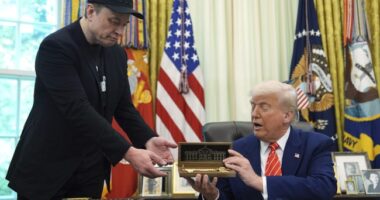 Peace in Our Time: Trump and Musk Will Reportedly Speak on Friday After Public Blowout