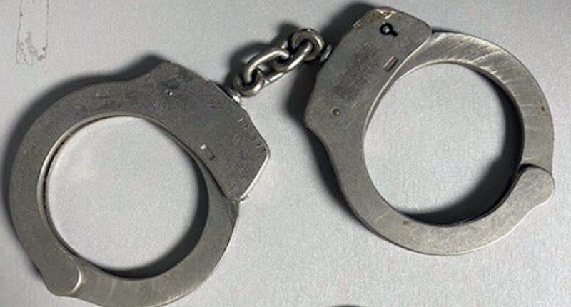 Police arrest 2 suspects, including boy, in deadly Aurora shooting near Park Lane Elementary School