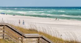 Police reveal contents of mysterious black packages that washed up on pristine Florida beach