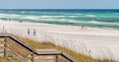 Police reveal contents of mysterious black packages that washed up on pristine Florida beach