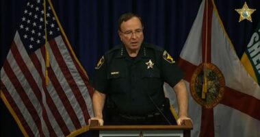 Polk County makes history with Mexican cartel drug busts, sheriff says