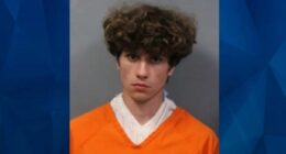 Pregnant WV Mother Brutally Beaten by Boyfriend ‘Until She Quit Breathing’: Police