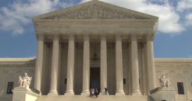 President Donald Trump administration asks Supreme Court to leave mass layoffs at US Department of Education in place