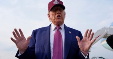 President Donald Trump hails favorable federal appeals court ruling on his sweeping tariff policy as a 'great' win
