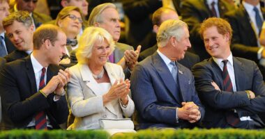 Prince Harry 'will extend olive branch to King Charles and Prince William by inviting them to the next Invictus Games' - but finale is set to clash with Queen's 80th birthday