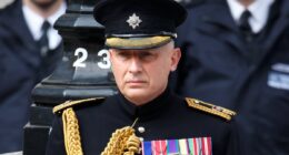 Protect our courageous SAS soldiers or we lose them forever, writes William and Harry's former private secretary JAMIE LOWTHER-PINKERTON