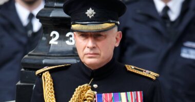 Protect our courageous SAS soldiers or we lose them forever, writes William and Harry's former private secretary JAMIE LOWTHER-PINKERTON