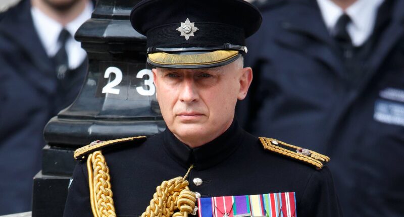 Protect our courageous SAS soldiers or we lose them forever, writes William and Harry's former private secretary JAMIE LOWTHER-PINKERTON
