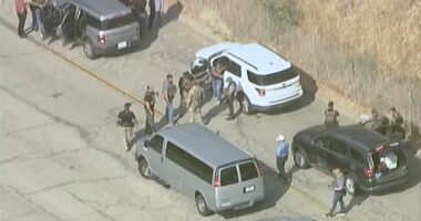 Protest at Dodger Stadium gets underway as immigration agents seen nearby amid reports of more ICE raids in LA County