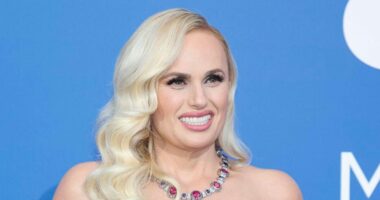Rebel Wilson Talks The Lengths She Went For 'Bride Hard' Role