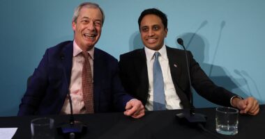 Reform UK chairman Zia Yusuf QUITS as he says working for a Nigel Farage-led government 'is no longer a good use of my time'