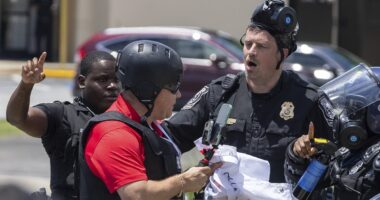 Reporter is arrested by ICE while live-streaming from anti-Trump protest