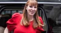 Return to the 1970s as Angela Rayner's law could see walkouts triggered by just 10% of workforce