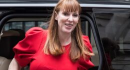 Return to the 1970s as Angela Rayner's law could see walkouts triggered by just 10% of workforce