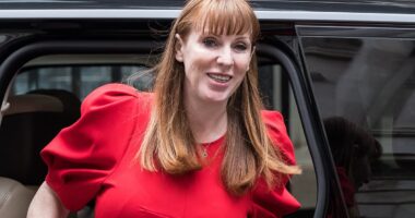 Return to the 1970s as Angela Rayner's law could see walkouts triggered by just 10% of workforce
