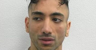 Revealed: British paedophile who 'married nine-year-old at Disneyland Paris' is Jacky Jhaj... the predator who masterminded a fake funeral with child actors and an explosion near the O2