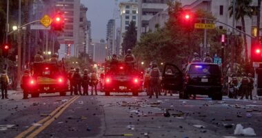 Rodney King riots officer says LA mayor acted ‘too late’ as anti-ICE violence engulfs city