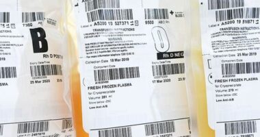 S﻿exually active gay and bisexual men will be able to donate plasma in a change of rules by Australian Red Cross Lifeblood.