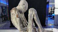 Scientists probing 'alien' mummies make shocking discovery inside womb of corpse