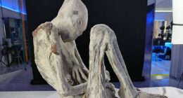 Scientists probing 'alien' mummies make shocking discovery inside womb of corpse