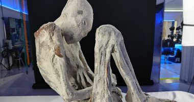 Scientists probing 'alien' mummies make shocking discovery inside womb of corpse