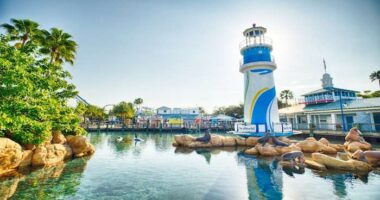 SeaWorld Orlando to debut new nighttime drone show this weekend