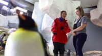 See emperor penguins at SeaWorld Orlando! Here’s when