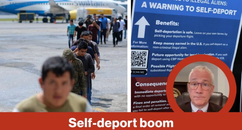 Self-deport boom lifts paychecks | Reporter Replay