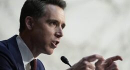 Senator Hawley on LA: 'This Violence Isn't Spontaneous'