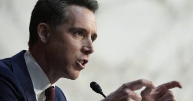 Senator Hawley on LA: 'This Violence Isn't Spontaneous'