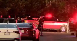 Seven people injured in mass shooting at park as cops launch manhunt & probe ‘targeted’ attack