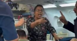 Shock moment passenger threatens to CRASH Air India plane mid-flight in furious row just days after Ahmedabad disaster