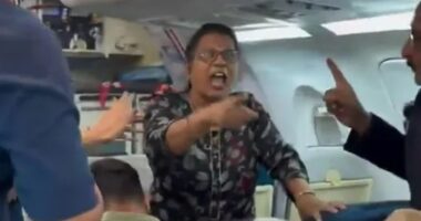 Shock moment passenger threatens to CRASH Air India plane mid-flight in furious row just days after Ahmedabad disaster