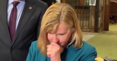 Slain lawmaker broke down as she defended brave vote days before shooting
