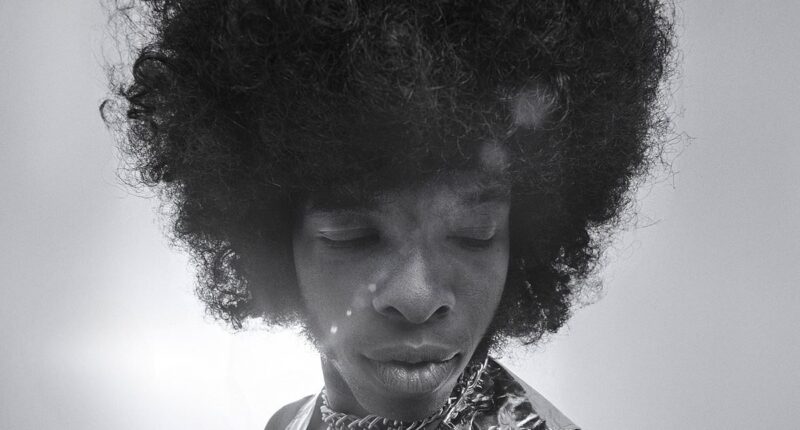 Sly Stone dead at 82: Funk legend during the 60s passes away as cause of death is revealed