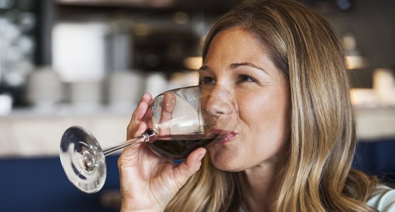 Solo female traveler teaches Karen a lesson during bizarre restaurant encounter