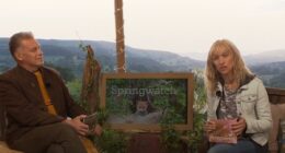 Springwatch viewers left 'crying and throwing up' by 'never before recorded' scenes of brutality that 'none of the BBC crew could work out'