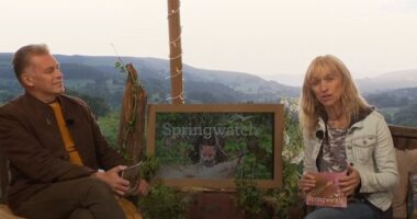Springwatch viewers left 'crying and throwing up' by 'never before recorded' scenes of brutality that 'none of the BBC crew could work out'