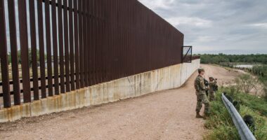 Startling new figures show how migrants are ballooning America's population